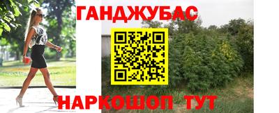 винт Дубна