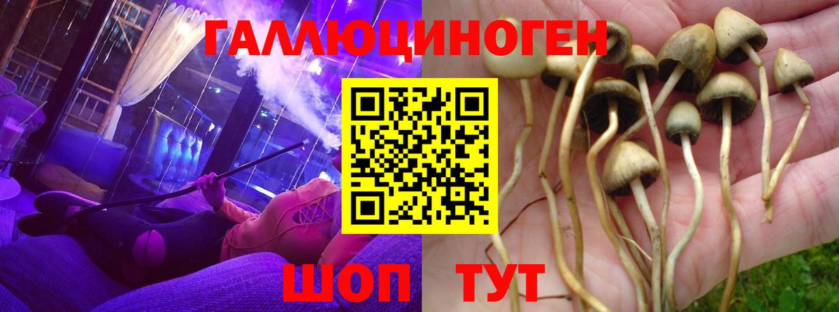 Псилоцибиновые грибы Magic Shrooms  Псилоцибиновые грибы Cubensis  Вход с VPN  Коломна 